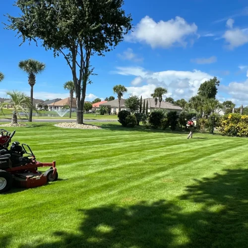 Aguilar M Landscaping LLC (78)